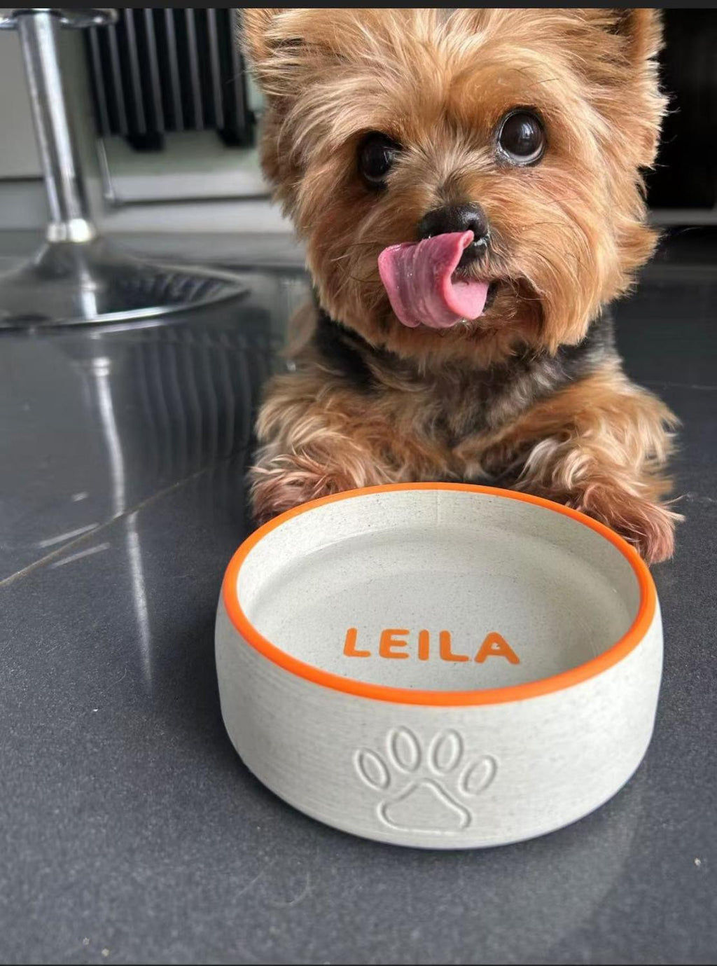 LovePaw™ Custom Bowl