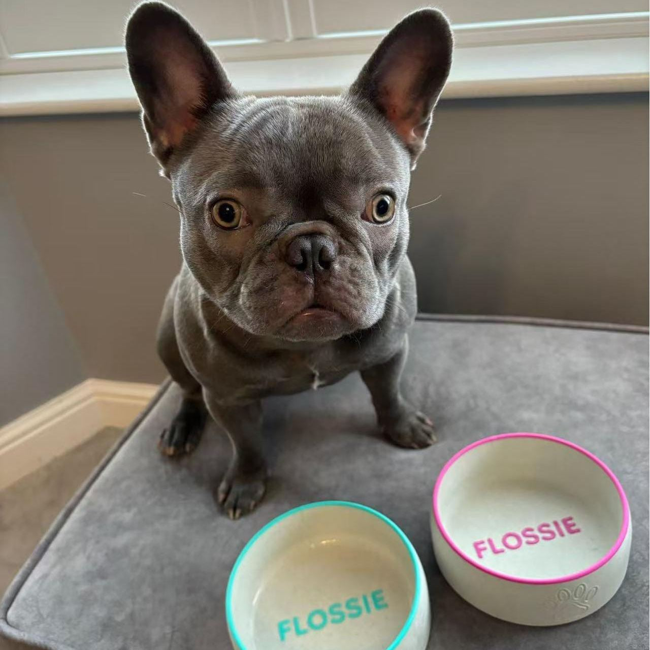 LovePaw™ Custom Bowl