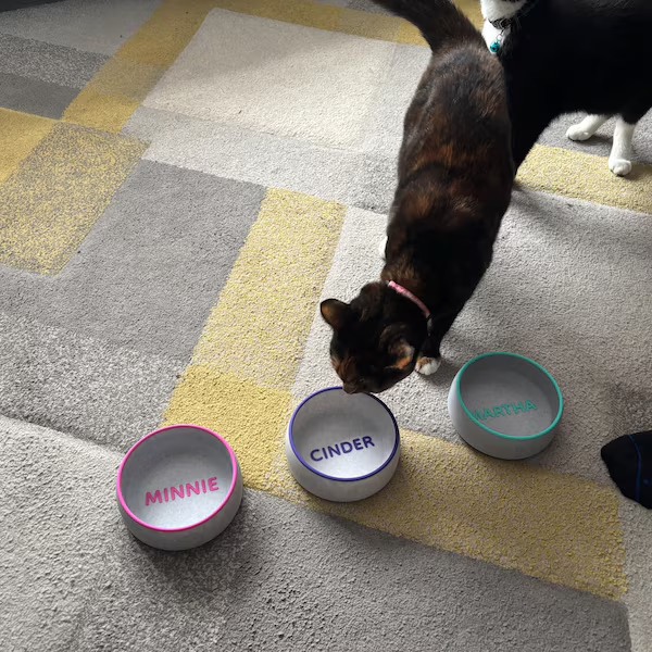 LovePaw™ Custom Bowl